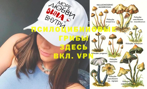 Альфа ПВП Богородицк