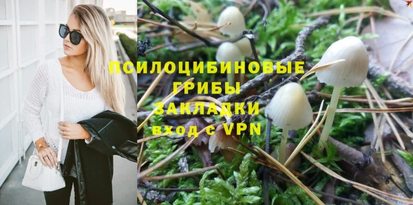 Альфа ПВП Богородицк