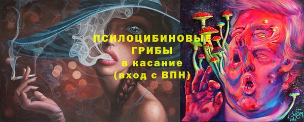 герыч Богородск