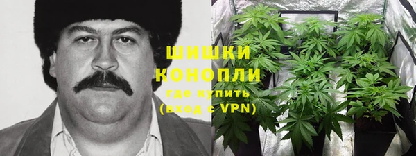 Альфа ПВП Богородицк