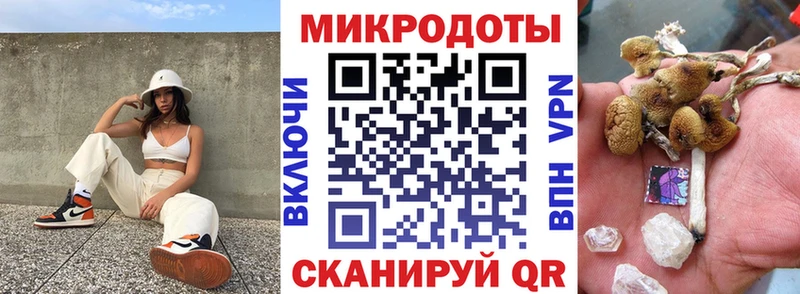 Галлюциногенные грибы прущие грибы  Верхотурье 